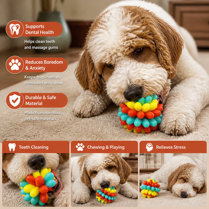 Colourful Bumpy Dog Chew Ball