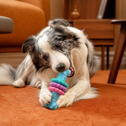 Dog Chew Toy With Teethers - Interactive Chew Toy For Dogs