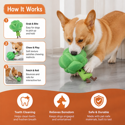 Sniffing Broccoli - Interactive Treat Toy