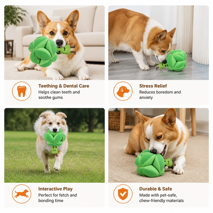 Sniffing Broccoli - Interactive Treat Toy