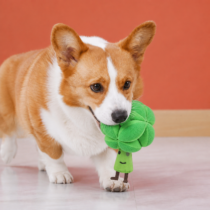 Sniffing Broccoli - Interactive Treat Toy