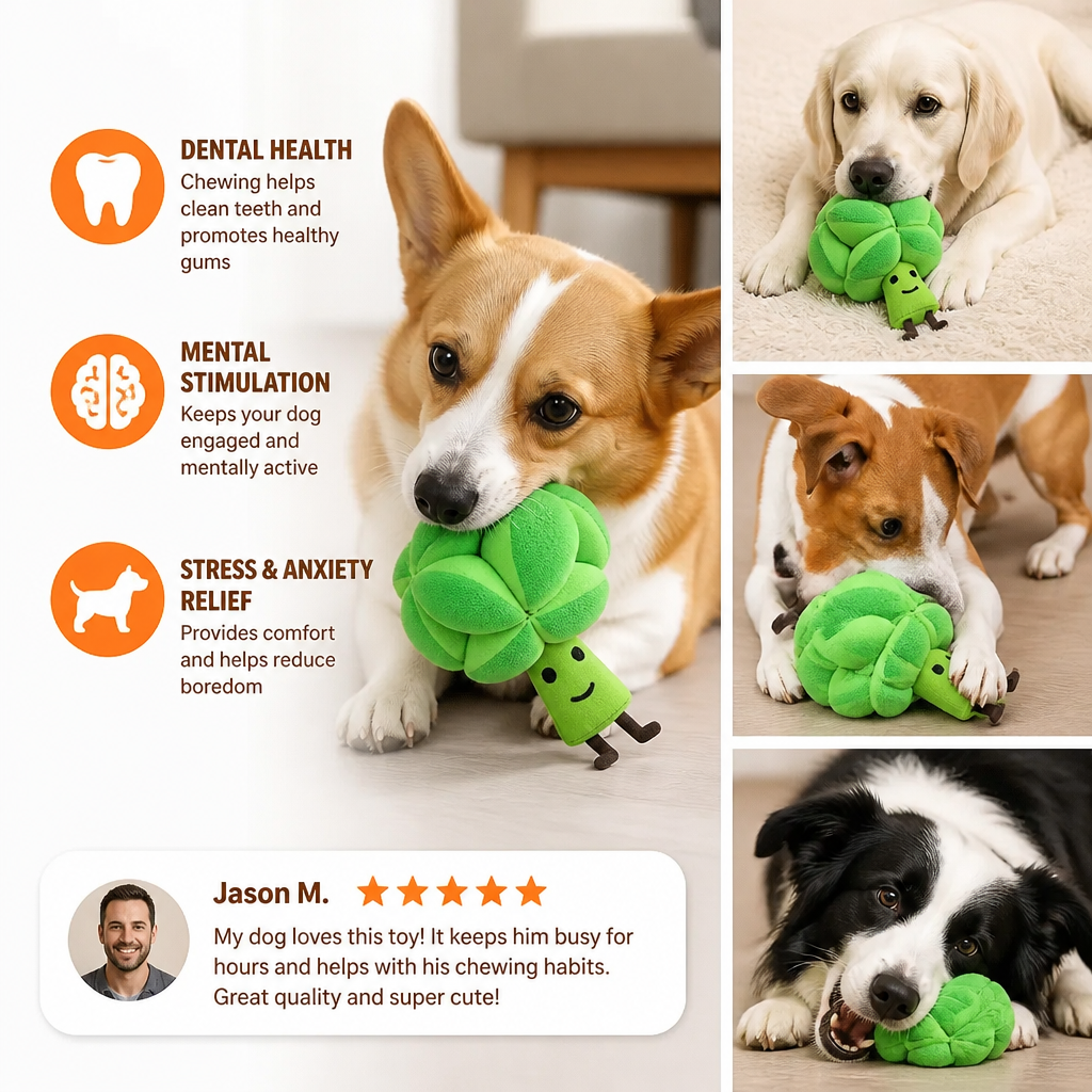 Sniffing Broccoli - Interactive Treat Toy