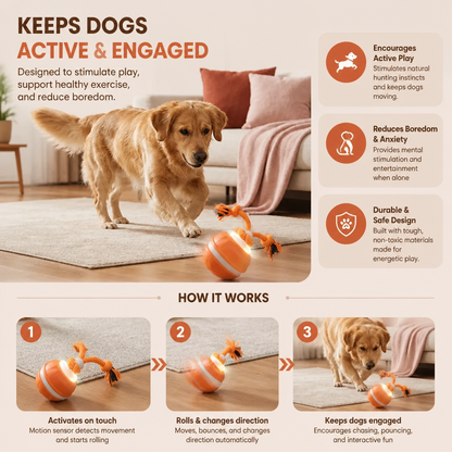 Durable Dog Play Ball with Motion Sensor and Tug Rope in Dog-Friendly Colours