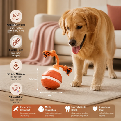 Durable Dog Play Ball with Motion Sensor and Tug Rope in Dog-Friendly Colours