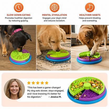 Engagement Feeding Bowl with Different Levels