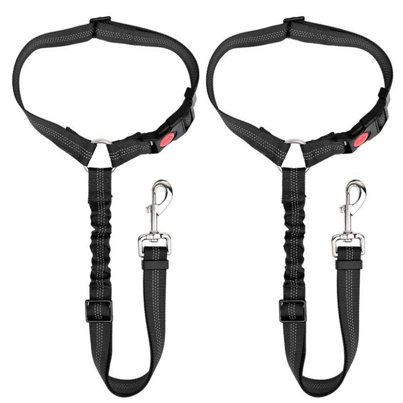 Dog Car Seat Belt