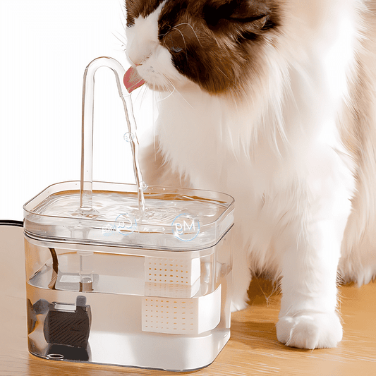 Premium Pet Water Fountain For Clean Water