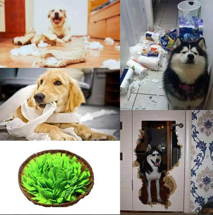 Sniffer Mat For Dogs - Promotes Natural Foraging Skills