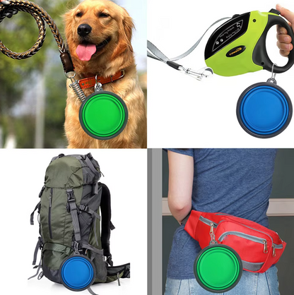 Collapsible Dog Cup With Carabiner