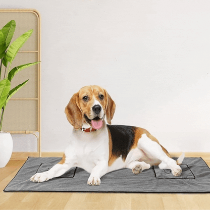 Microfibre Towel for Pets with Integrated Handbags