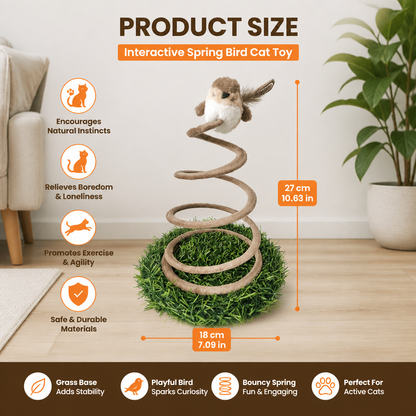 Interactive Spring Bird Cat Toy with Grass Base