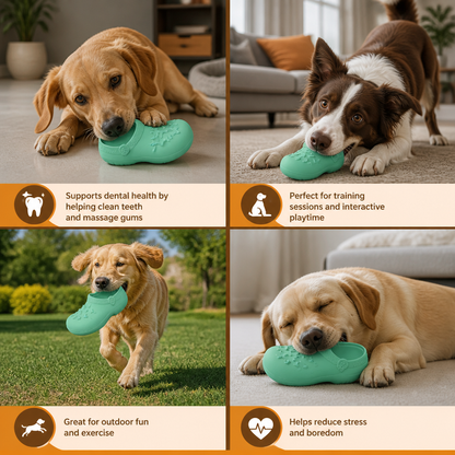 Interactive Squeaky Slipper Dog Chew Toy