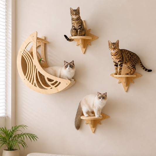 Modern Wooden Moon & Star Wall-Mounted Cat Climbing Shelves & Bed Set