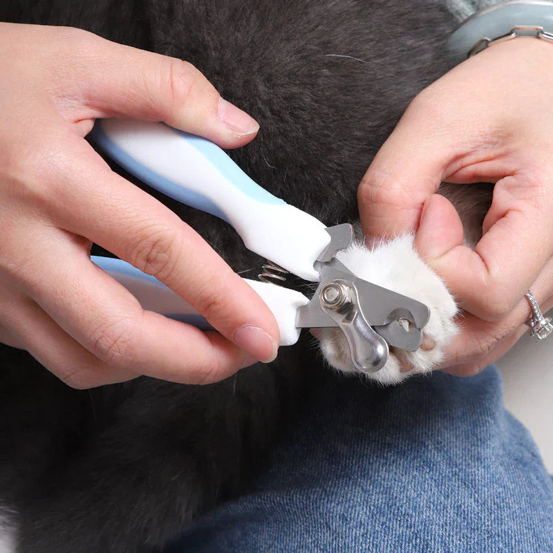 Claw Scissors for Pets with Safety Lock and File – Paw-Friend