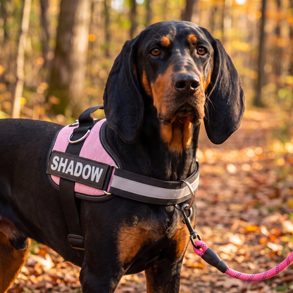Personalized No-Pull Dog Harness with Front D-Ring – Designed for Neck & Shoulder Relief