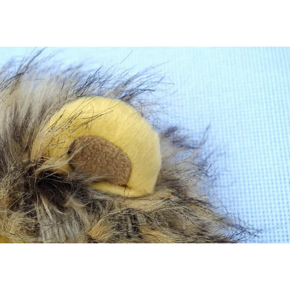 Cat Lion Mane Costume